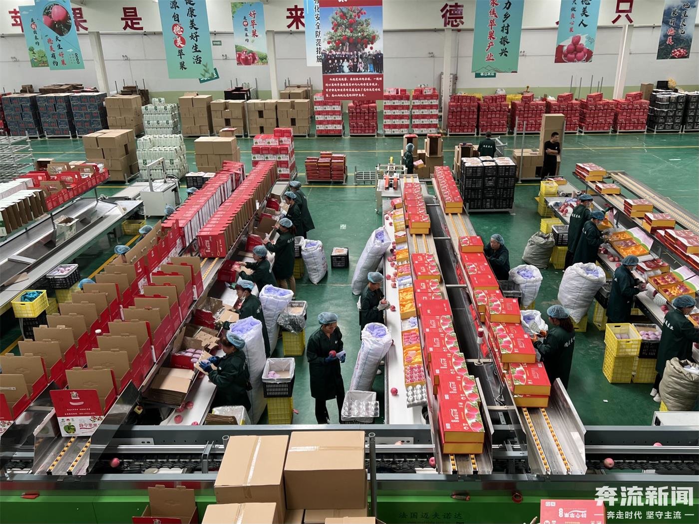 平?jīng)鍪ヌ輰ν赓Q(mào)易有限公司助力靜寧蘋果走出國外